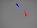 DSC00103_h_7
