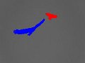 Eagle052607__20__9