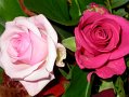 Src_Color