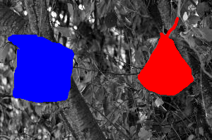 birdhouse_003_5