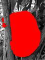 Click for preview picture of "PIC106470172014_36 (300 x 400)"