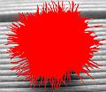 Click for preview picture of "b1chesnuttame_1 (300 x 260)"